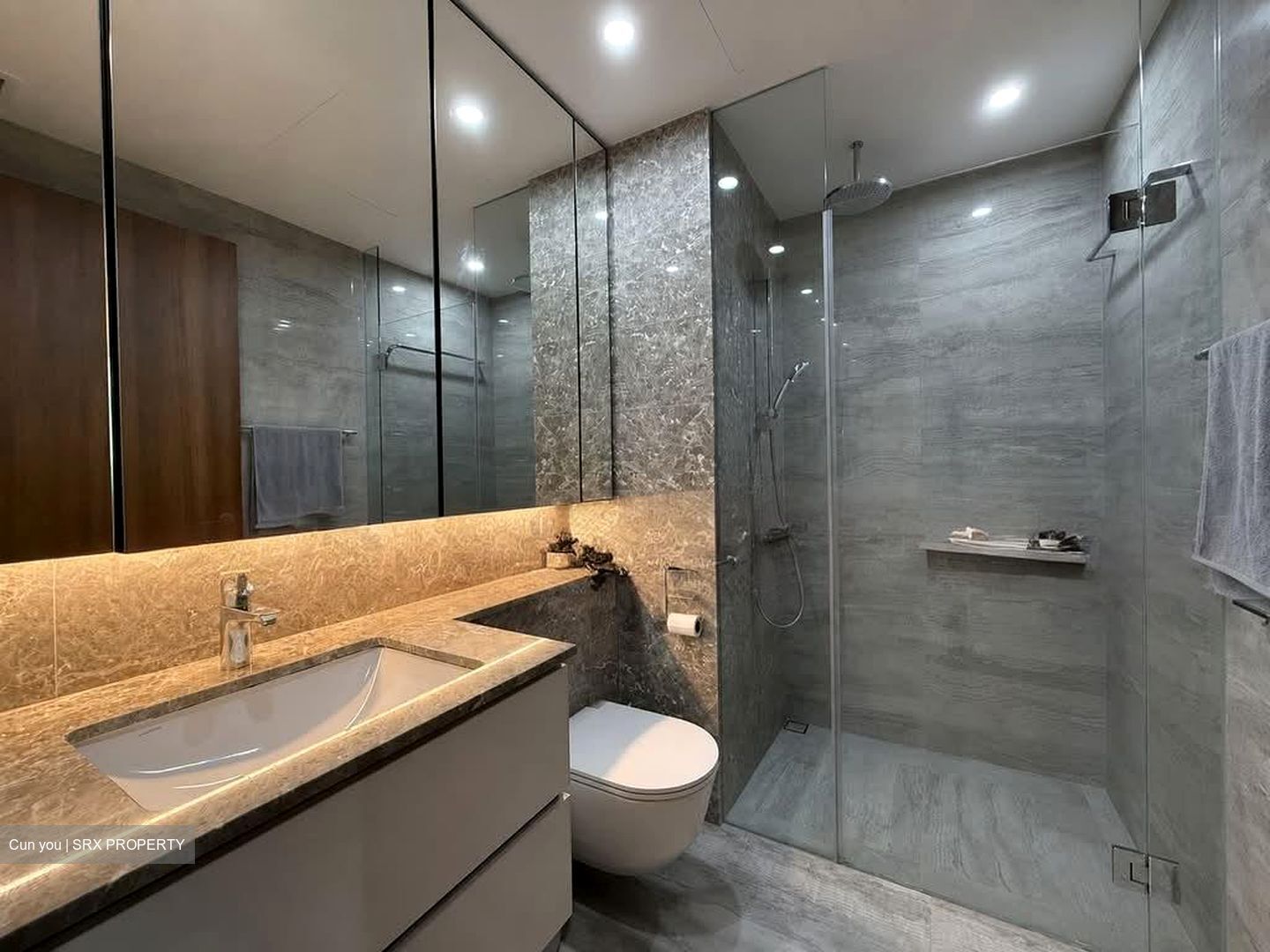 Fourth Avenue Residences (D10), Apartment #561616361